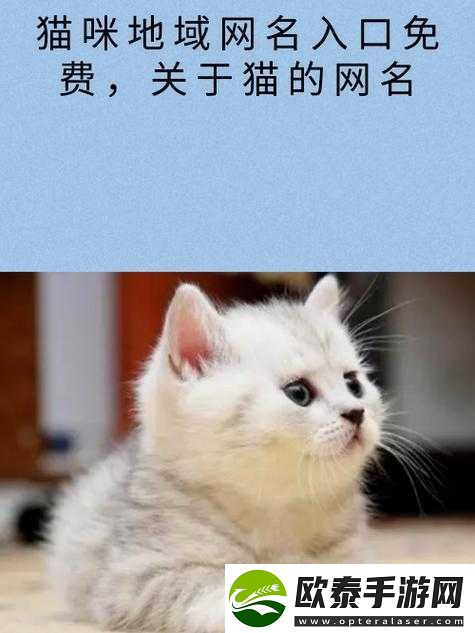 猫咪最新地域网名怎么取