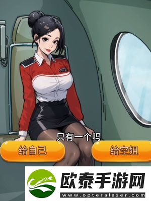 隐秘的档案惊险航班通关攻略