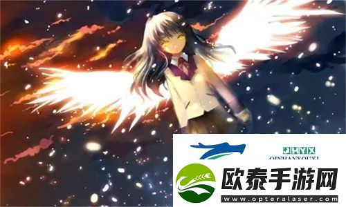 在线观影必备！免费b站在线观看人数在哪儿