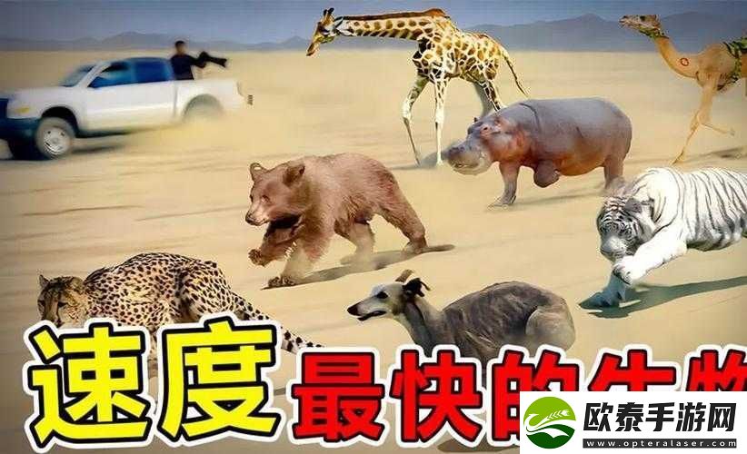 美国