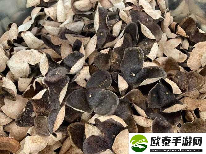 久一线产区二线产区三线产区划分之详细解读与特点分析