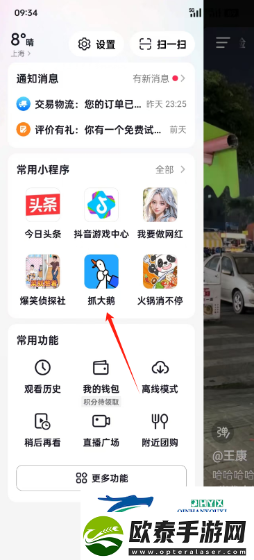 抓大鹅游戏2024年度报告在哪看