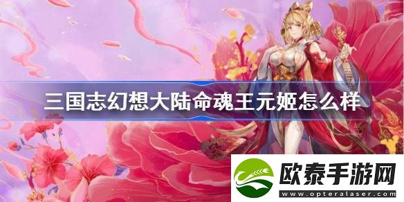 三国志幻想大陆命魂王元姬怎么样