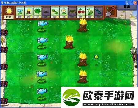 植物大战僵尸中五种经常用到的植物