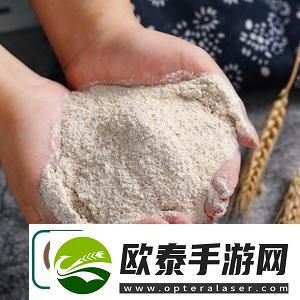 日本朋友家的麦子流畅不卡顿