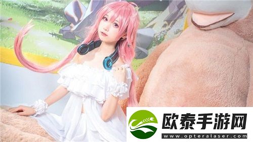 国产精品国产三级与VA浪潮