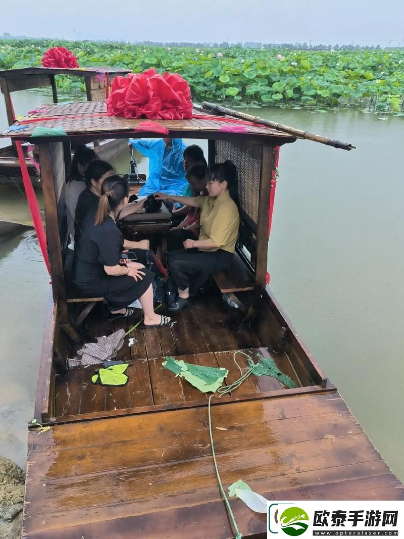 情感深邃老人船上弄雨荷第12集