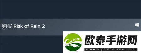 雨中冒险2多少钱
