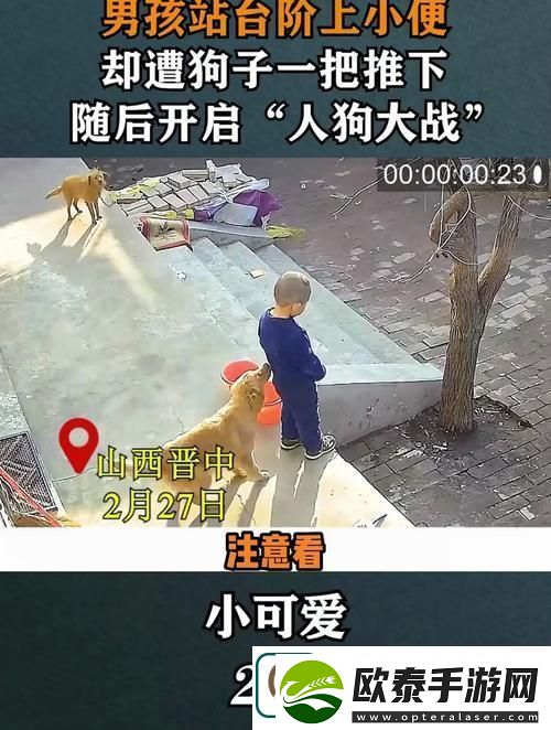 轻松获取“人狗大战2”中文版观看渠道