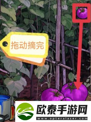 隐秘的档案星之彩通关攻略