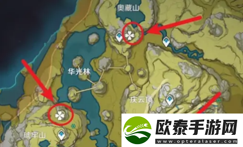 原神五星食谱仙跳墙怎么获取