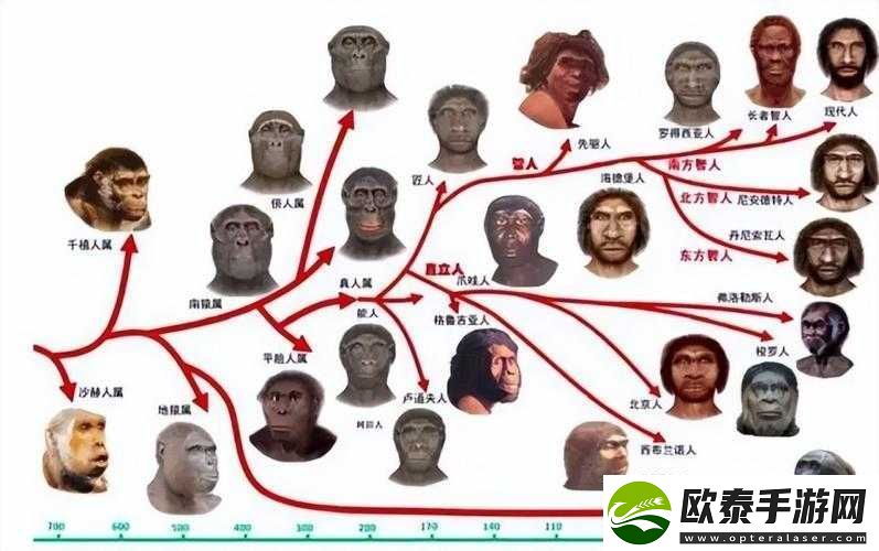 非洲人性功能强大的体现