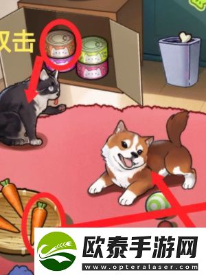 隐秘的档案宠物领养中心通关攻略