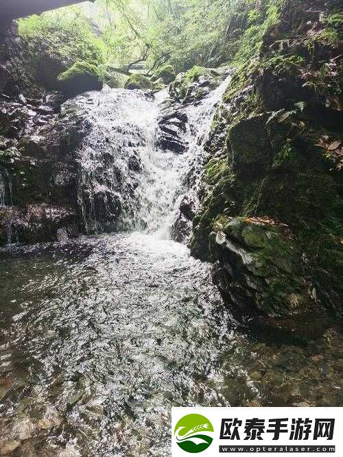 桃花洞口已是溪水潺潺深受广大友好评回应引发的思考与探讨