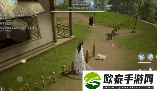 射雕小动物位置大全