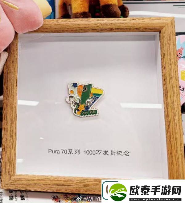 华为Pura