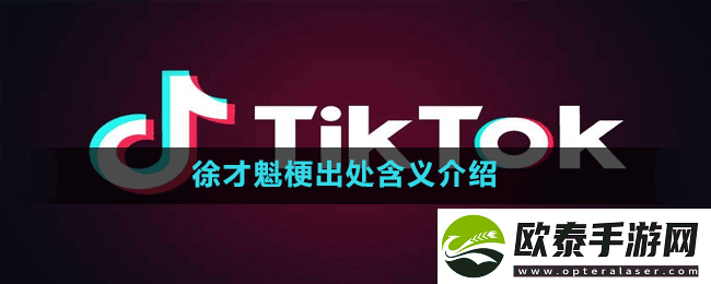 徐才魁是什么梗