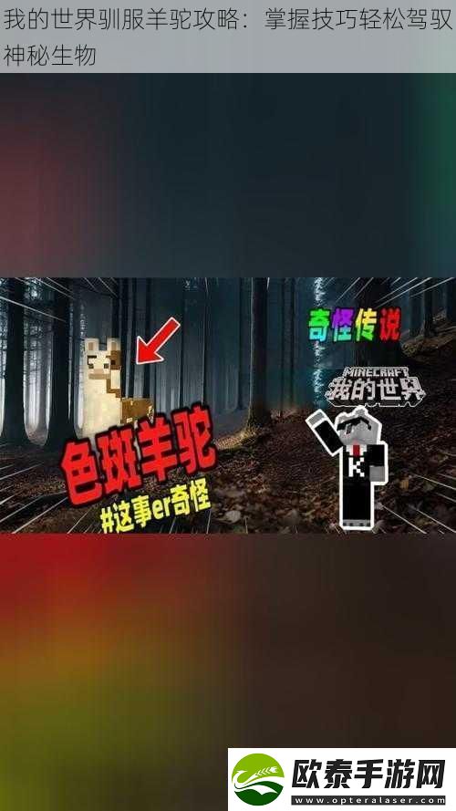 我的世界驯服羊驼攻略