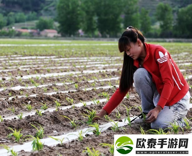 耕种姐姐的肥沃土地