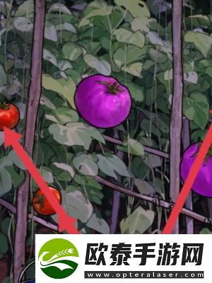 隐秘的档案星之彩通关攻略