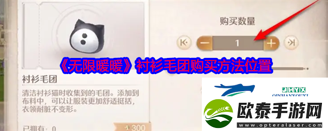 无限暖暖衬衫毛团购买方法位置