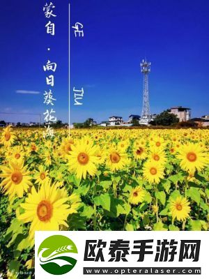 无限暖暖花海拍照攻略及游戏技巧【详细介绍】