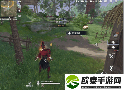 永劫无间手游刺梨有什么用