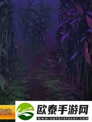 隐秘的档案星之彩通关攻略
