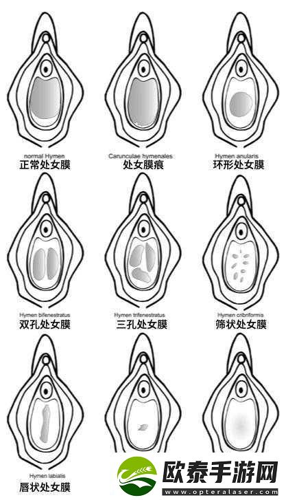 破外女出血一级毛片相关内容不适合宣扬和传播