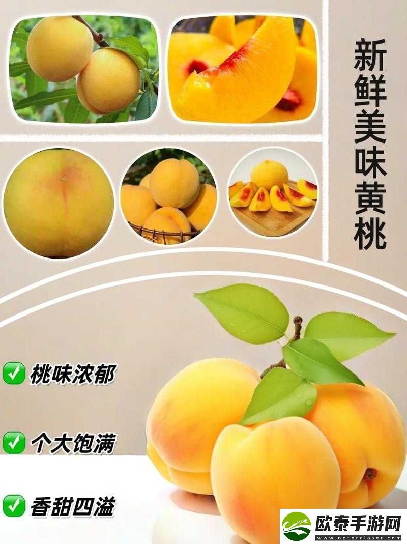 9612黄桃站手机据说可以让你告别烦恼