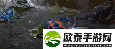 博德之门3生离死别武器获得方法介绍