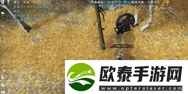 逆水寒手游秋思任务