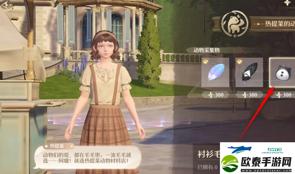 无限暖暖衬衫毛团购买方法位置