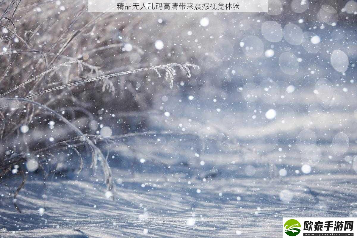 精品无人乱码高清带来震撼视觉体验