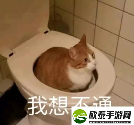 生日花落归途