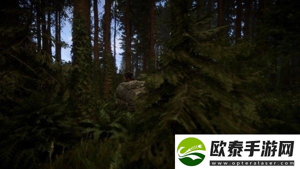 森林之子怎么打开背包