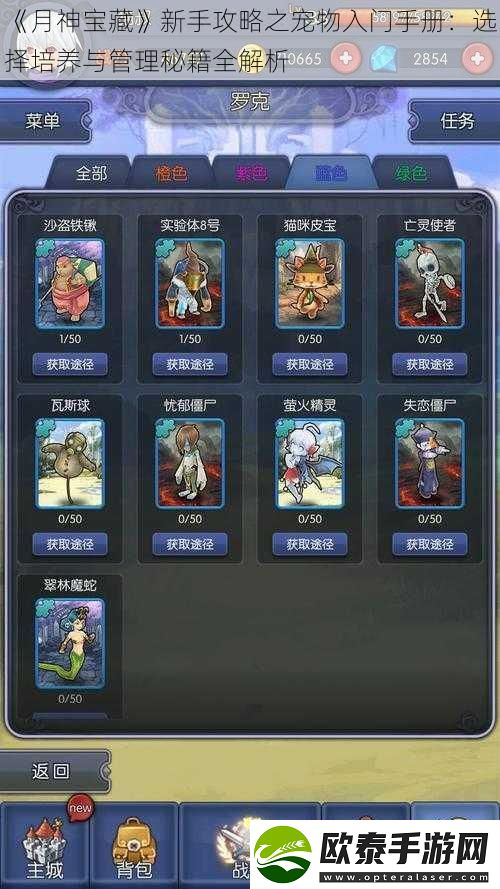 月神宝藏新手攻略之宠物入门手册