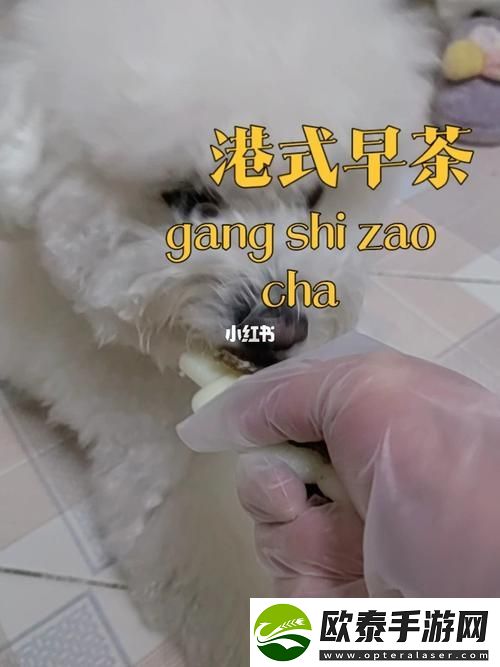 美国人与动物胶配方大全