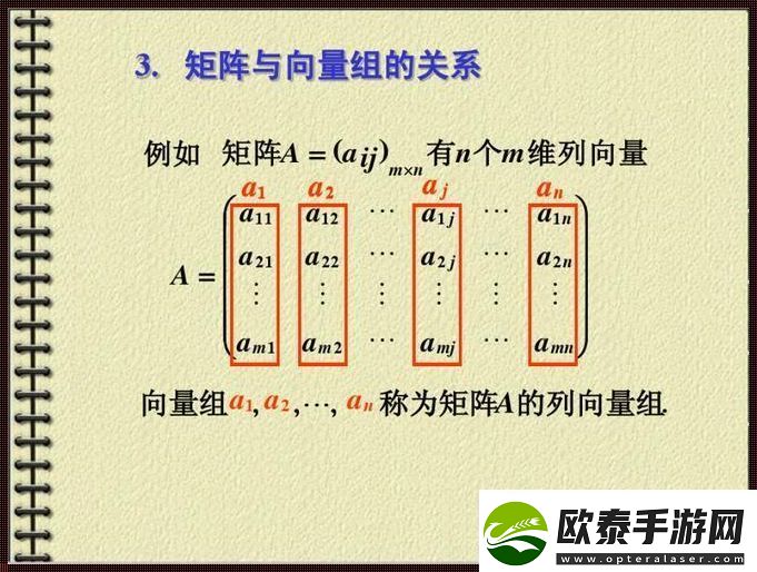 m个n维向量