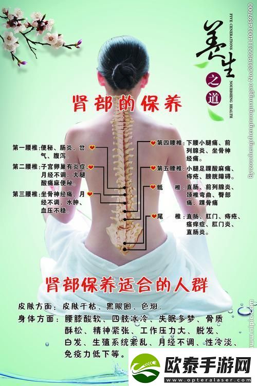 “肾机保养成新时尚