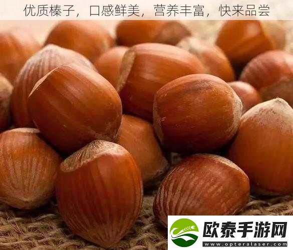 优质榛子