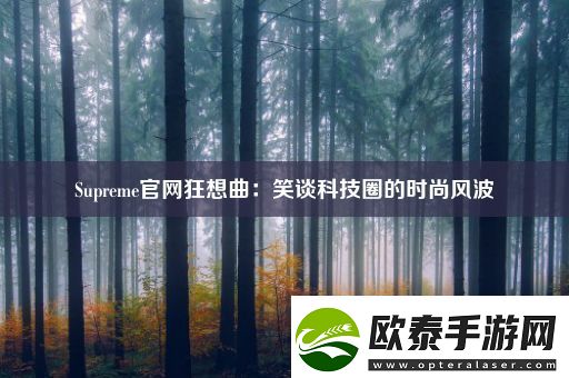 Supreme官网狂想曲
