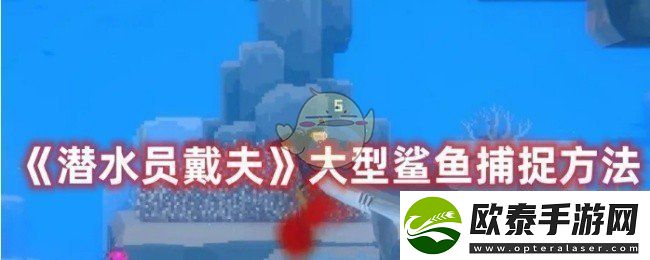 潜水员戴夫怎么捕捉大型鲨鱼