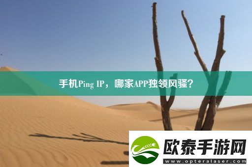手机Ping