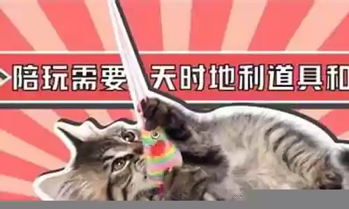逗猫神奇推荐阵容搭配：副本通关最佳策略