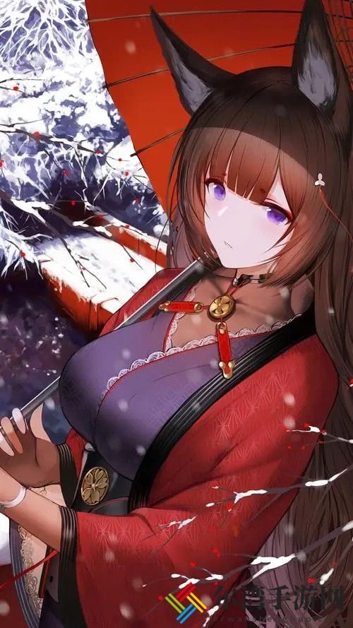 九幺黄9.1安装