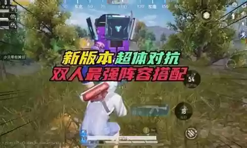 超级对抗双人搭配阵容图：高效利用资源指南