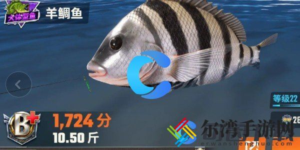 欢乐钓鱼大师全鱼类图鉴一览 掌握战斗技巧的必看攻略