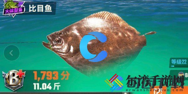 欢乐钓鱼大师全鱼类图鉴一览 掌握战斗技巧的必看攻略