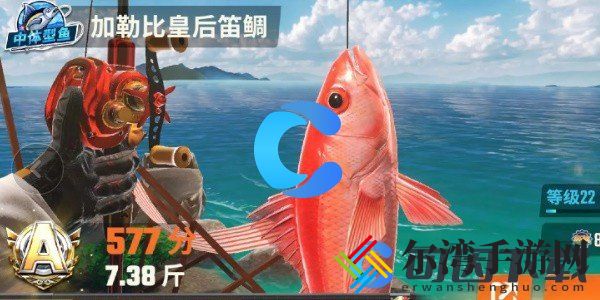 欢乐钓鱼大师全鱼类图鉴一览 掌握战斗技巧的必看攻略